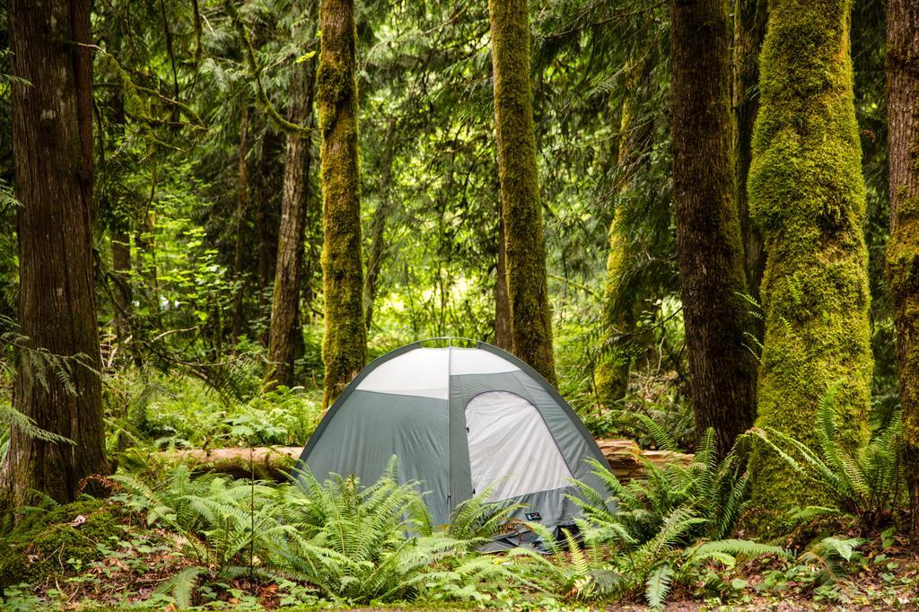 Mount Hood Village Deluxe Cabin 7 Welches Eksteriør billede